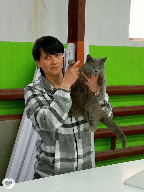 Елена, 47, Волгограде — анкета №1329445