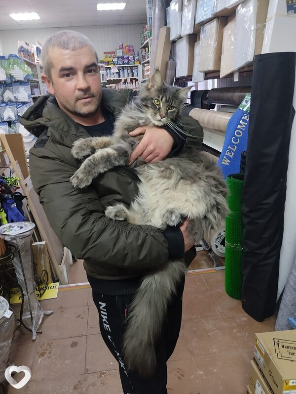 Иван, 39, Кимрах — анкета №1330592