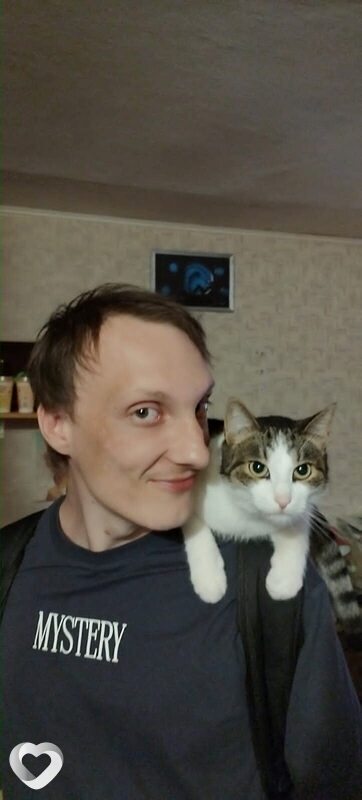 Владимир, 33, Костроме — анкета №1334898