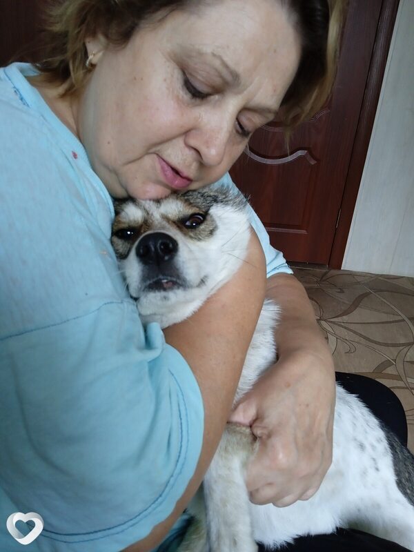 Алина, 61, Воронеже — анкета №1335123