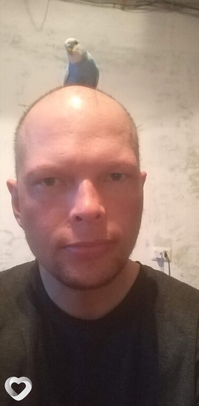 Денис, 34, Николаевске-на-Амуре — анкета №1338690
