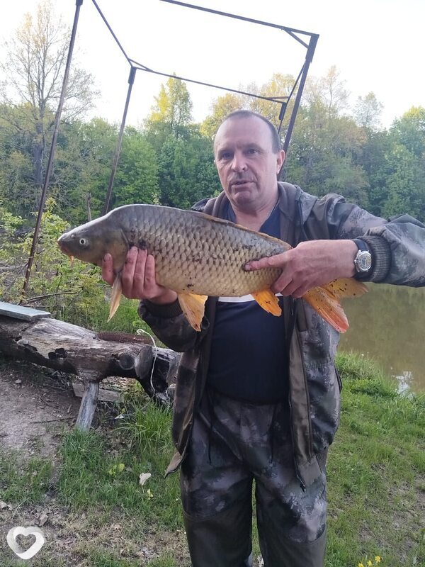 Дима, 49, Нижнем Ломове — анкета №1345176