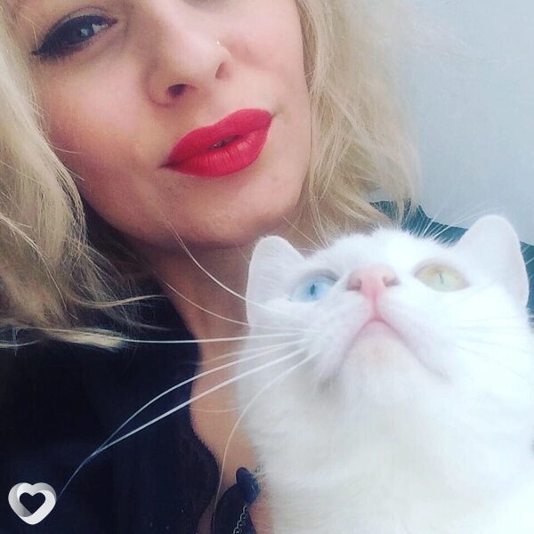Светлана, 41, Москве — анкета №1349177
