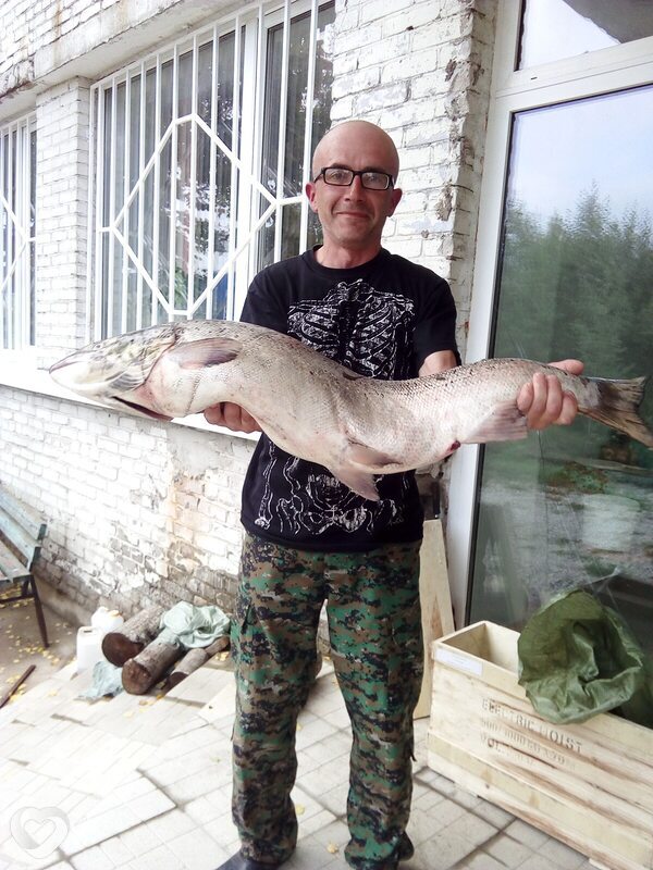 Максим, Каунас