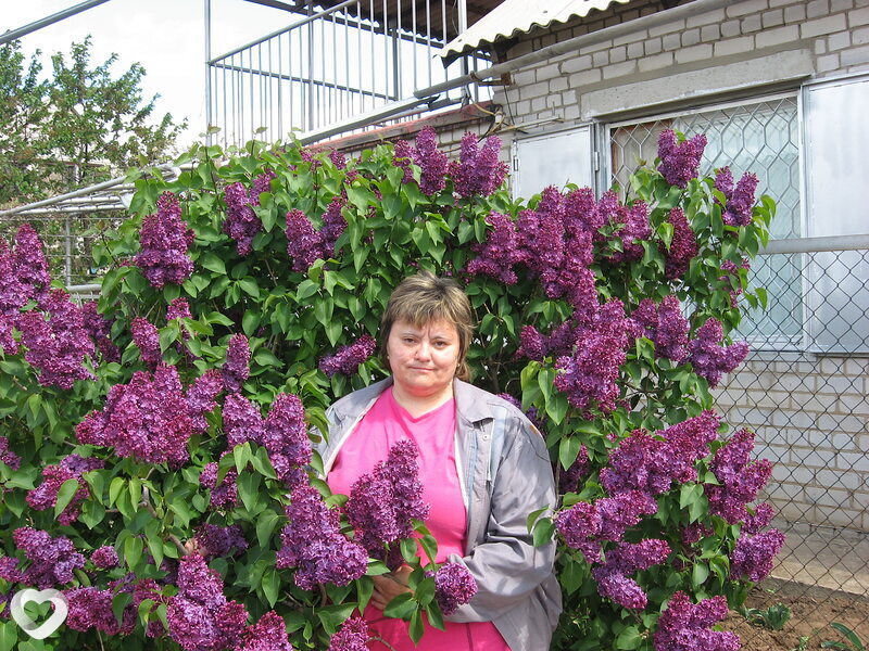 Ольга, 56, Волгограде — анкета №1357269