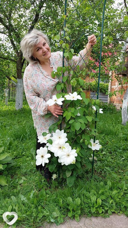 Светлана, 56, Подольске — анкета №1359960