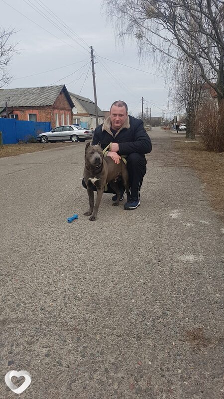 Виталий, 36, Гомеле — анкета №1360515