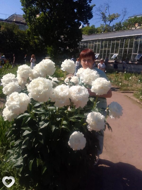 Татьяна, 58, Челябинске — анкета №1361217