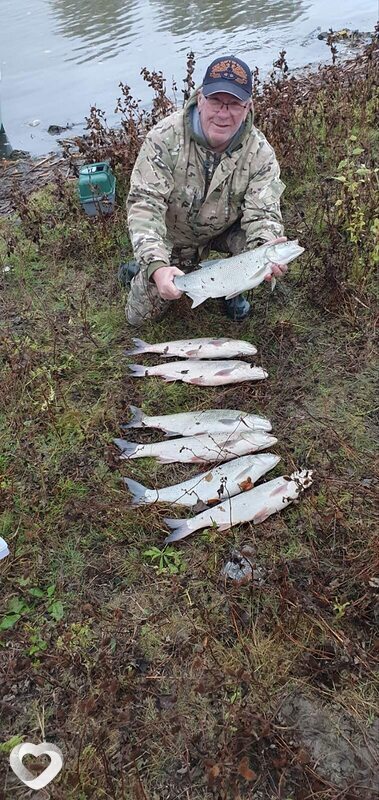 Егор, 49, Коврове — анкета №1366458