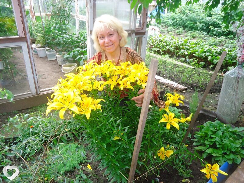 Татьяна, 62, Нижнем Новгороде — анкета №1366113