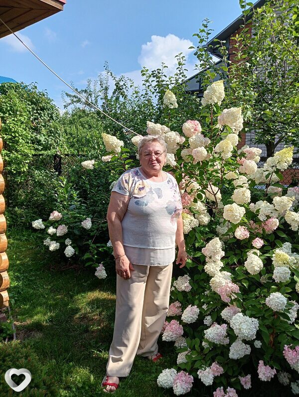 Галина Максимова, 66, Череповце — анкета №1371888
