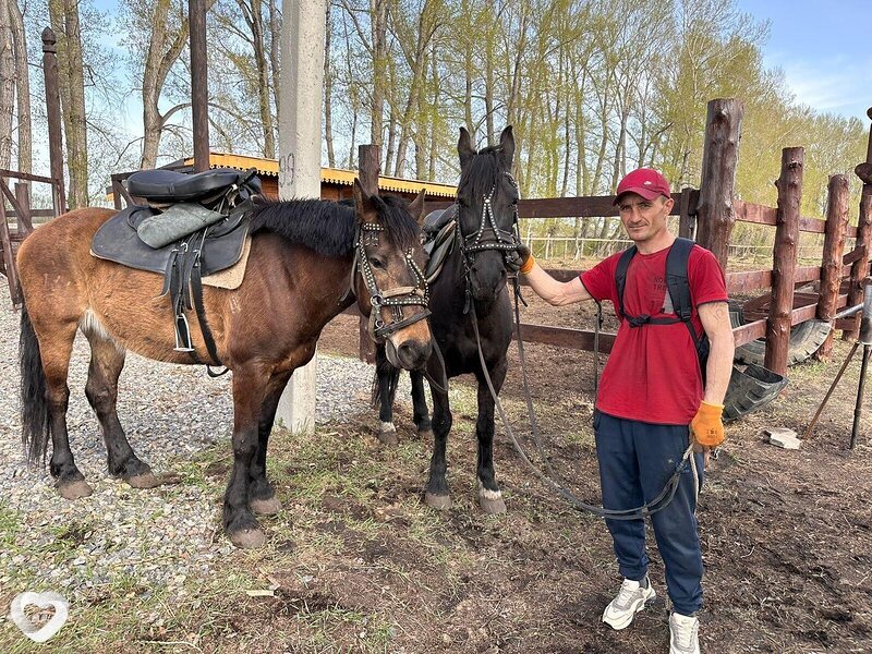 Виталий, 39, Белокурихе — анкета №1376169