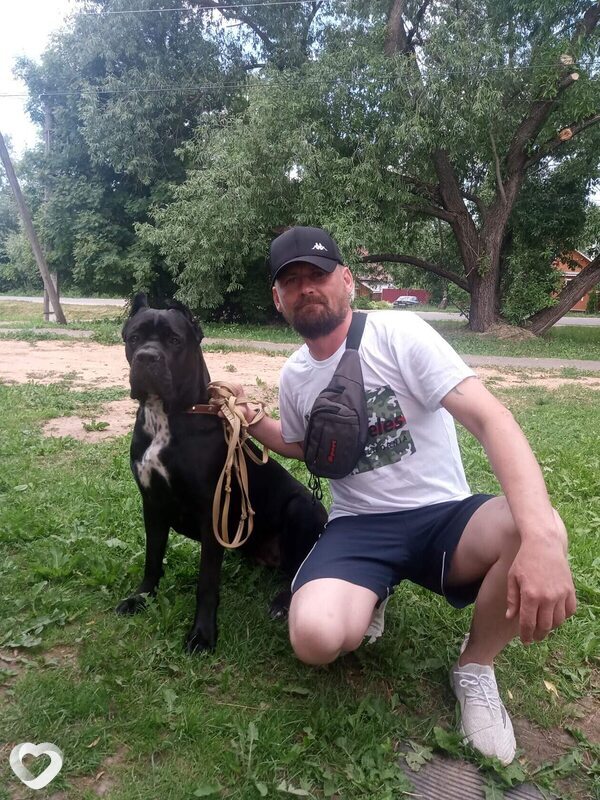 Андрей, Суздаль