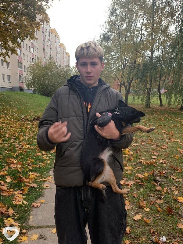 Ромашка, 19, Борисове — анкета №1381414