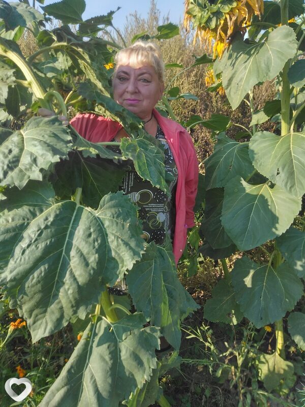 Наталья, 61, Москве — анкета №1381631