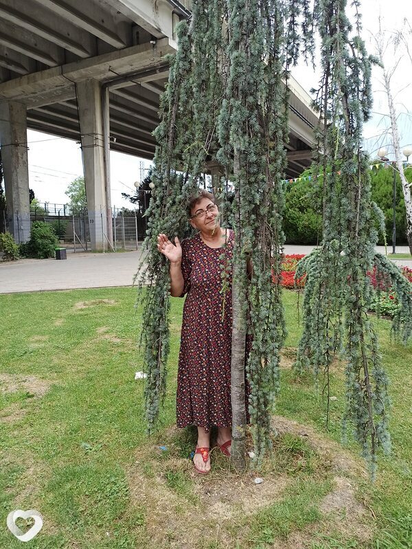 Елена, 65, Сочи — анкета №1387015