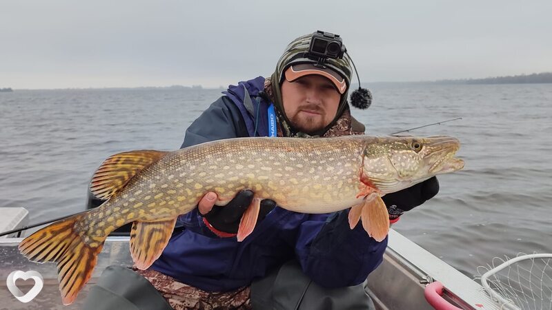 Кирилл, 33, Нижнем Новгороде — анкета №1388550