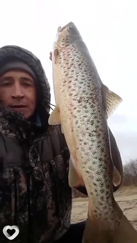 Алексей, 48, Архангельске — анкета №1390208
