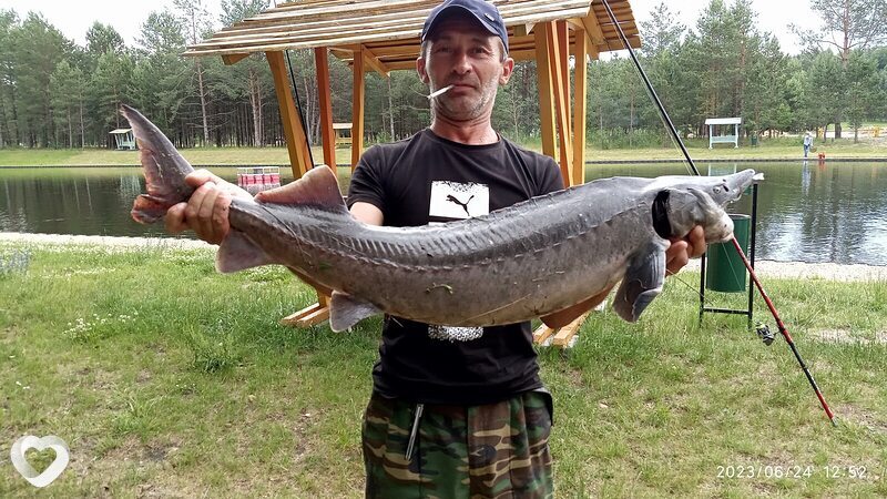 Юрий, 52, Барановичах — анкета №1399599