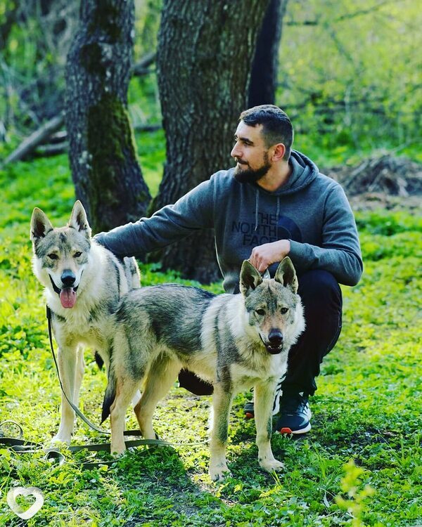 Дамир, 31, Гродно — анкета №1400751