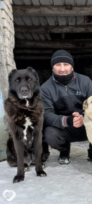 Арсен, 40, Саратове — анкета №1400984