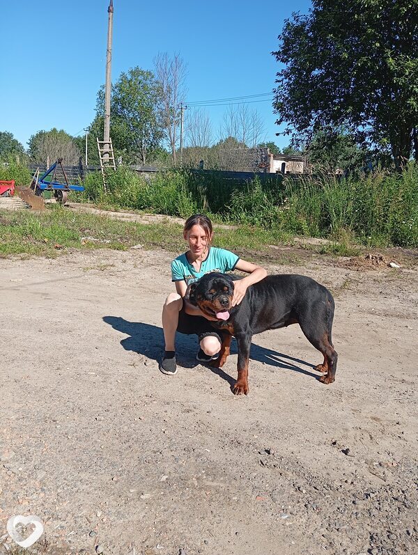 Оксана, 43, Витебске — анкета №1401597
