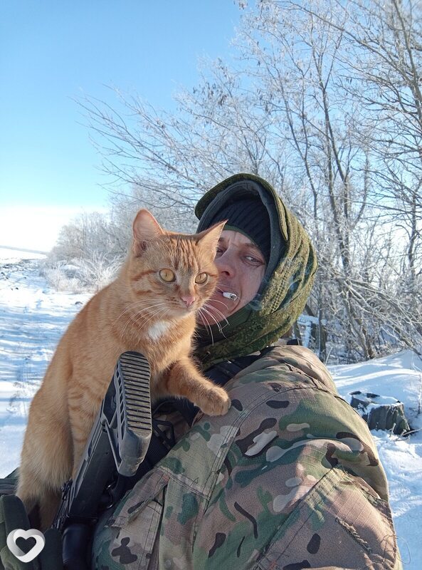 Евгений, 39, Юрге — анкета №1404186