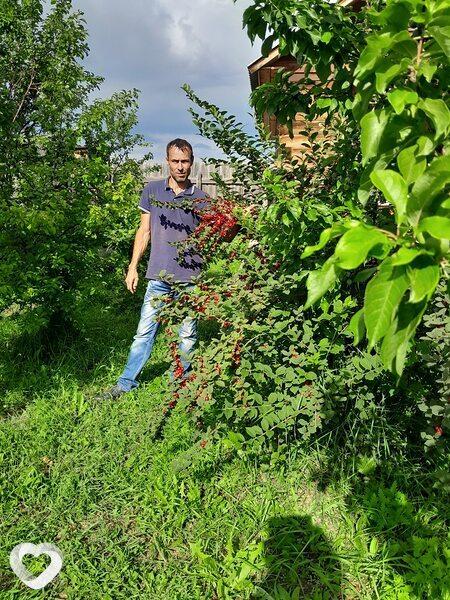 Лев, 44, Иркутске — анкета №1408849