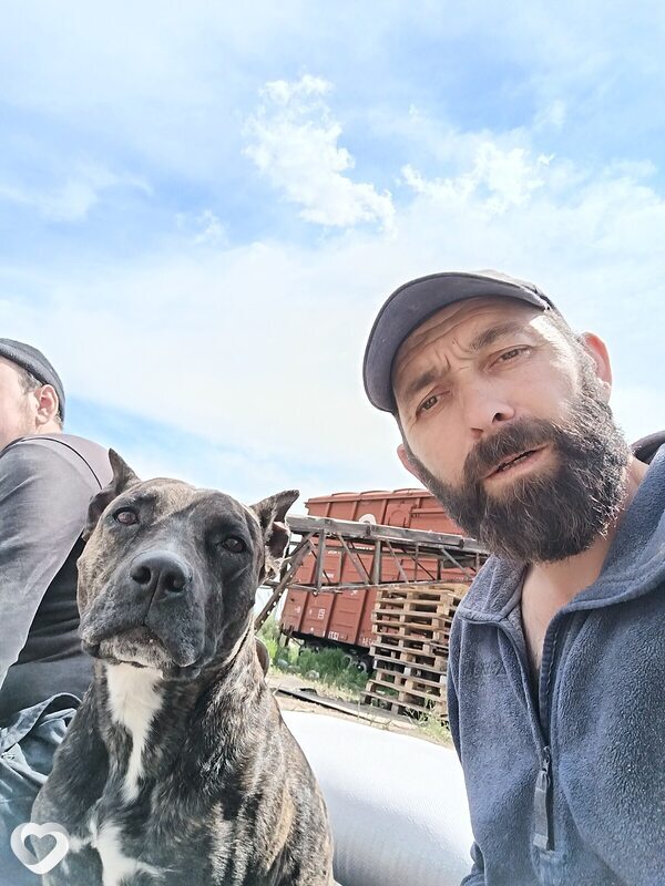 Рашид, 42, Астане — анкета №1410883