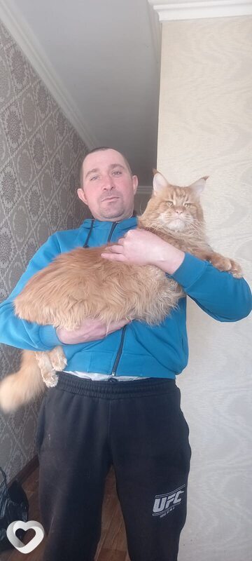 Анатолий, 39, Темиртау — анкета №1412616