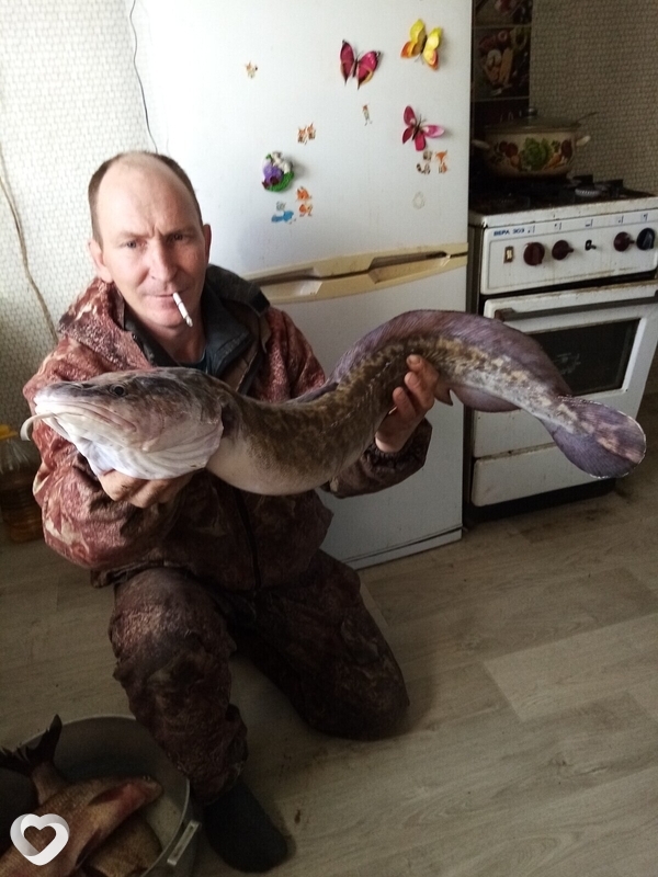 Юрий, 45, Алейске — анкета №2097359