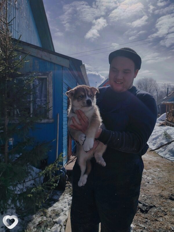Никита, 22, Одинцове — анкета №1424629