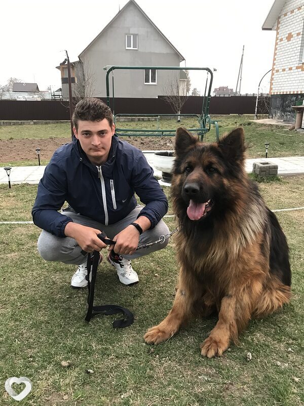 Денис, 31, Минске — анкета №1429149