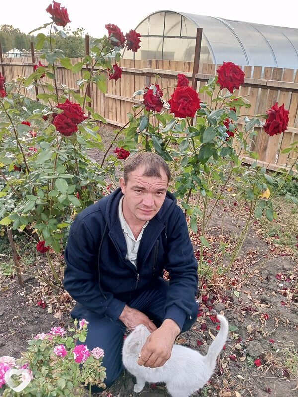 Владимир, Инжавино