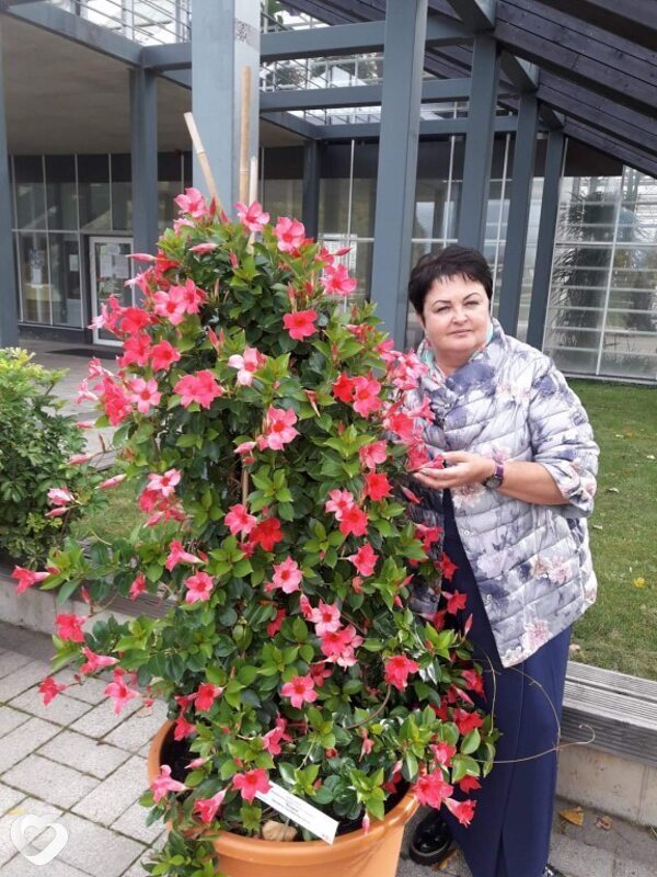 Tatjana, Рига