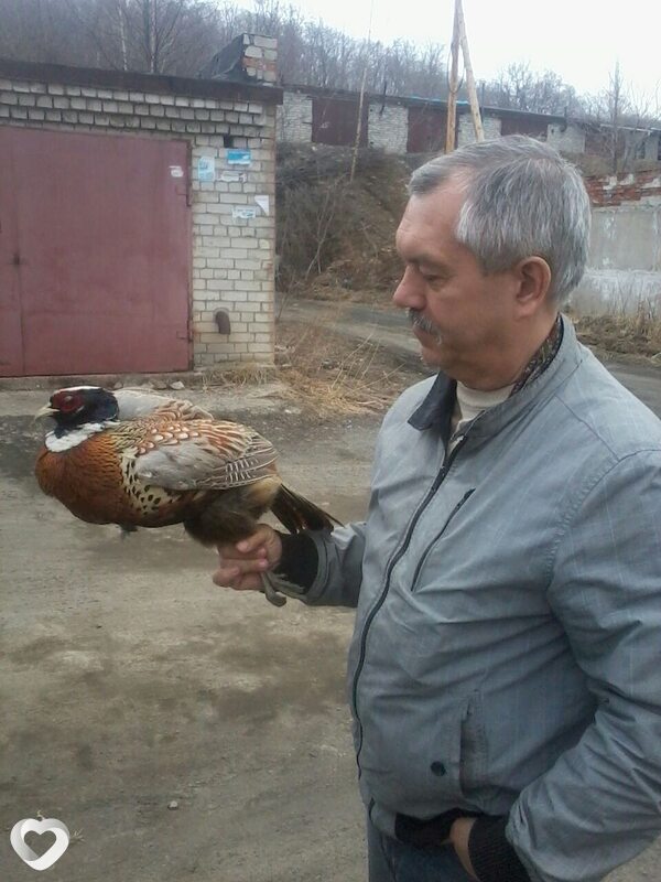 Виктор, Фокино