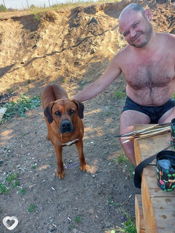 Василий, 39, Санкт-Петербурге — анкета №1442505