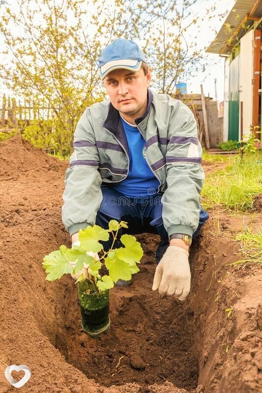 Супермен, 46, Брянске — анкета №1444840