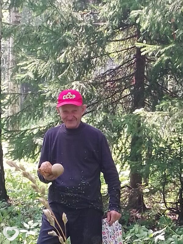 Виктор, 66, Юрге — анкета №1446593