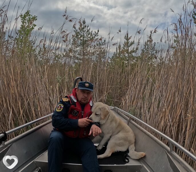Дмитрий, 47, Новоуральске — анкета №1452143