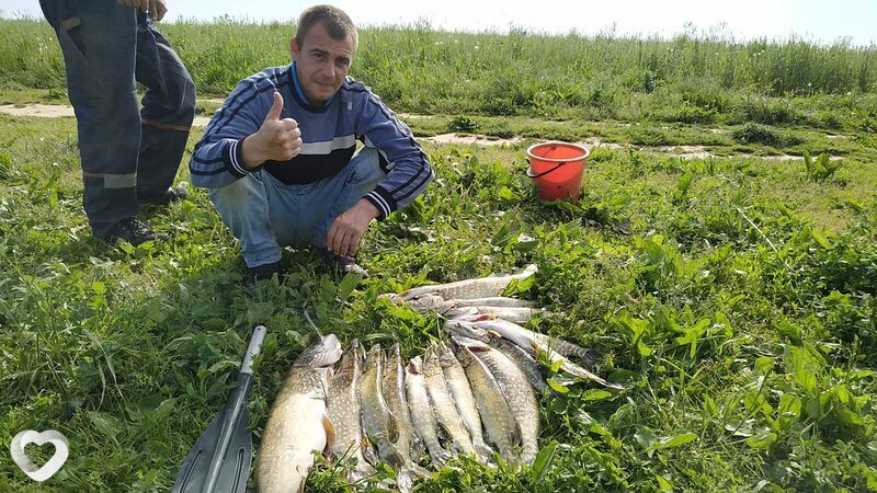 Виталий, 44, Орше — анкета №1454992