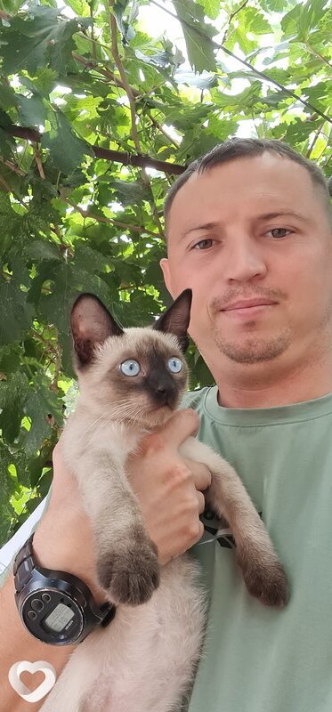 Валедемар, 32, Сальске — анкета №1455365