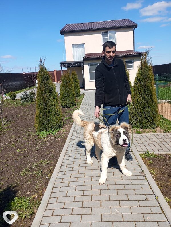 Лаерт, 37, Тосно — анкета №1460375