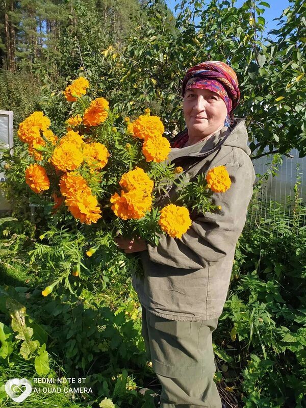 Ника, 63, Перми — анкета №1470388
