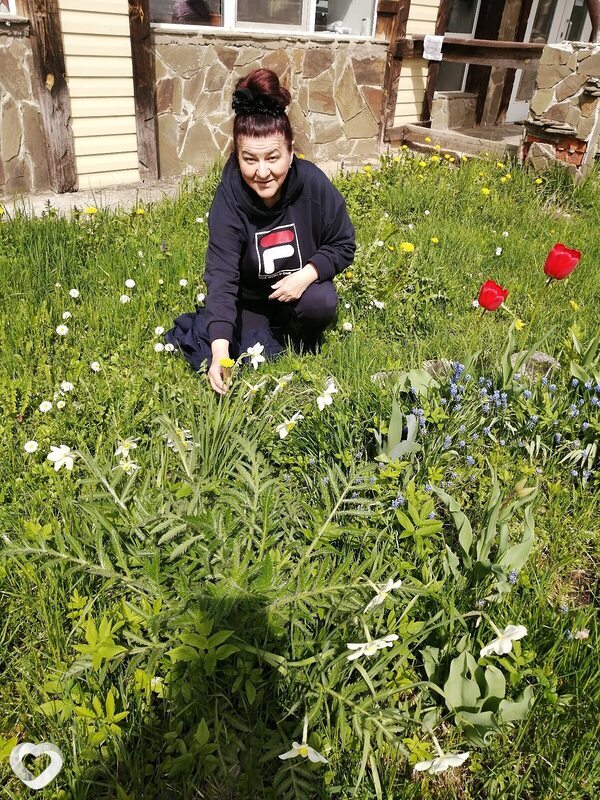 Алла, 62, Щёлково — анкета №1480670