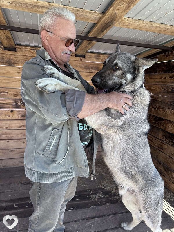 Anatoliy, 67, Губкине — анкета №1482563