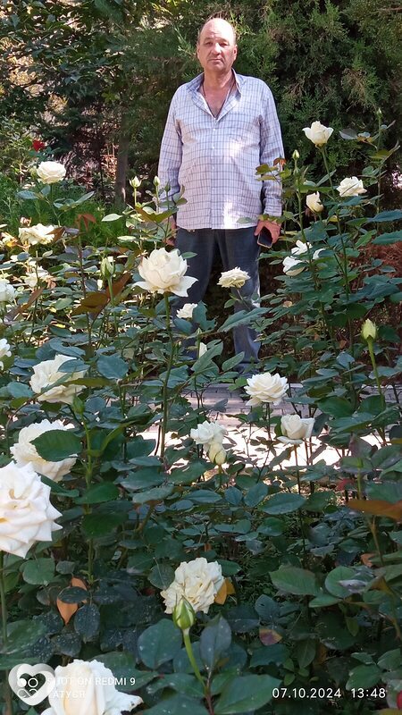 Сергей, 57, Ташкент — анкета №1483912