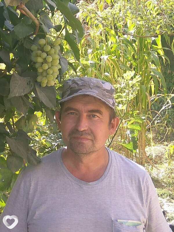 Володя, Янгиюль