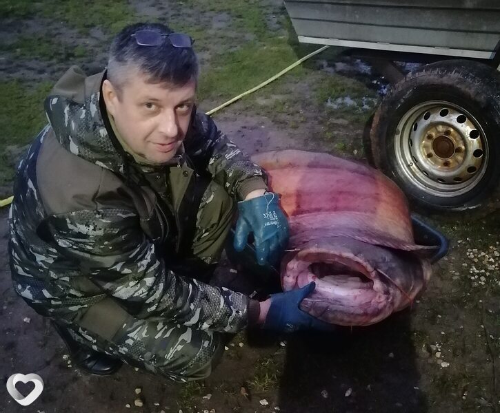Сергей, 44, Ярославле — анкета №1487788