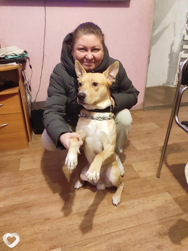 Галина, 43, Гомеле — анкета №1493163
